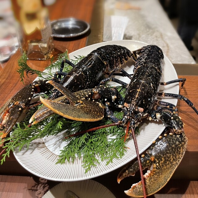 User's recommendation image for スガラボヴィー