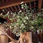 User's review image for EDOCCO CAFE MASU MASU