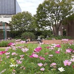 用户对于吉兆 伊勢丹新宿店的评论图