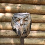 User's review image for コーヒーハウス チュチュの家