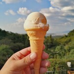 用戶對於城山オレンヂ園的評論圖