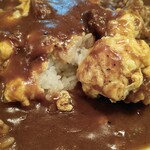 用户对于カレー専門店 印度 北2条店的评论图