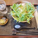 用户对于ひまわりの種的评论图