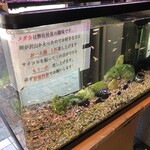 用戶對於壱発ラーメン 八王子本店的評論圖