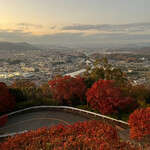 用戶對於不死王閣的評論圖