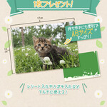 User's review image for カフェ・ベローチェ 岩本町店