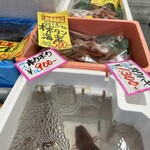 用戶對於おさかな 魚四季的評論圖