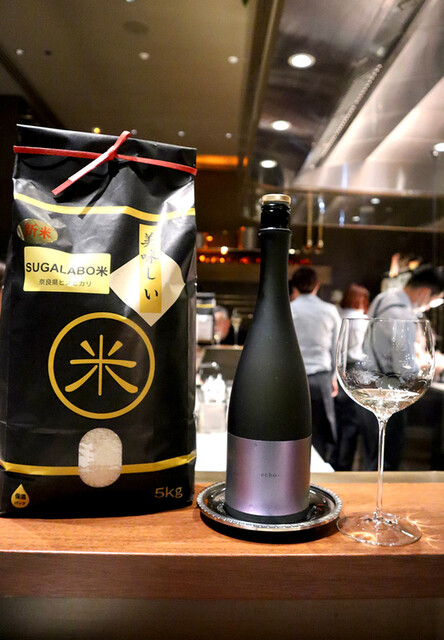 User's recommendation image for スガラボヴィー