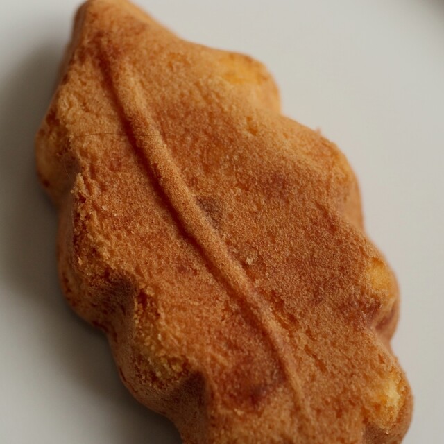 User's recommendation image for Rikyu