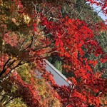 User's review image for みかえり茶屋