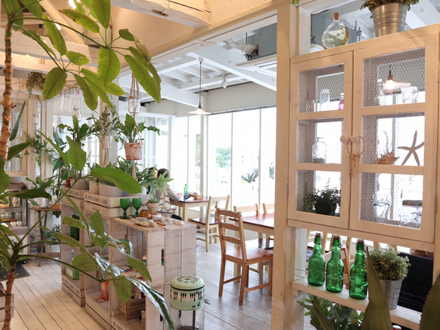 User's review image for BeachHouseStyleCafe sunflower