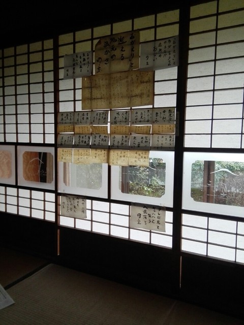 用户对于かんばやし　の的评论高清图