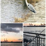 用戶對於叶 匠壽庵 高島屋大阪店的評論圖