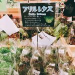 用戶對於ファーマーズマーケットたわわ朝霧的評論圖