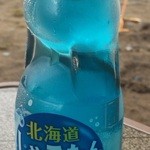 用户对于こどまり公園 特産市的评论图