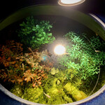 用戶對於鶏と肴 フルヤ的評論圖