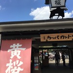 用户对于黄桜商店的评论图