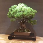 用戶對於ボンゲンコーヒー的評論圖
