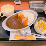 用户对于レッツゴーカレー アリオ札幌店的评论图