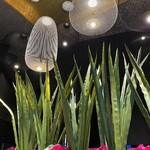 用戶對於廚 くろぎ的評論圖