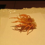 User's review image for 天若