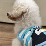 User's review image for 保護犬＆保護猫カフェ 寺田町店