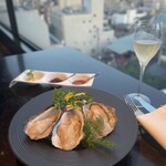 用戶對於シェルポ的評論圖