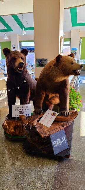 用戶對於とかち亭的評論高清圖