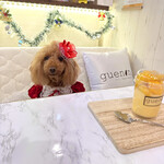 User's review image for guenin