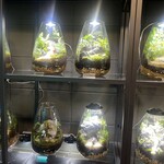 用戶對於AQUA GARDEN KYOTO的評論圖
