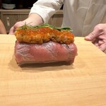 用户对于鮨 Suntos的评论图