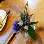用户对于絵本カフェ ちひろ美術館・東京的评论图