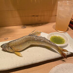 User's review image for 炭焼居酒場 IGOR COSY 渋谷本店