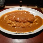 用户对于旨辛カレー専門店 白洋亭的评论图