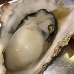 用户对于大厚岸的评论图