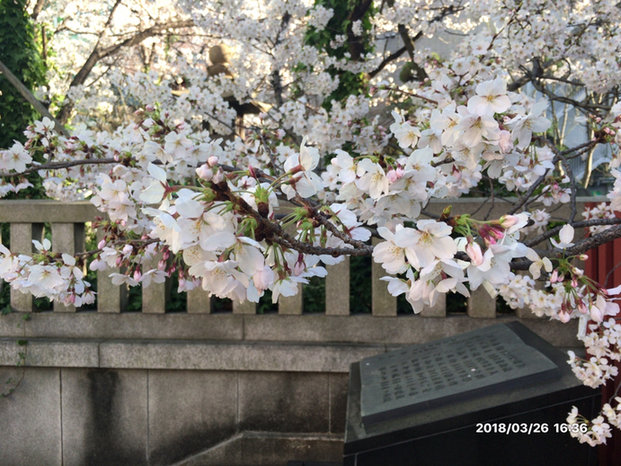 用戶對於上方御堂 淀屋橋店的評論高清圖