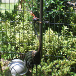 User's review image for 6889cafe