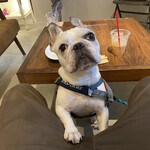 User's review image for ヤングツリーズコーヒー