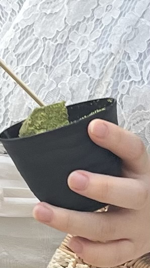 User's recommendation image for 浅草 濃厚抹茶専門店 極