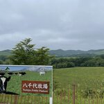 用户对于カウベルハウス的评论图