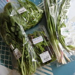 User's review image for 新鮮ひろば かのな