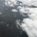 User's review image for はこだてビール