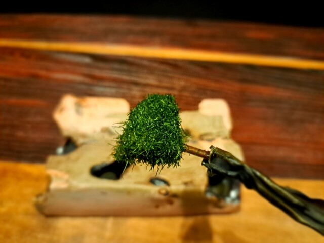 用戶對於MAZ的評論高清圖