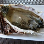 用户对于丹後の鮮魚屋橋立やまいち的评论图