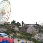 用戶對於マクドナルド 枚方パーク店的評論圖