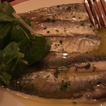 User's review image for Ragout