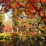 User's review image for みかえり茶屋