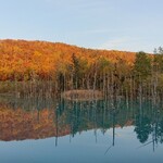 User's review image for 白金温泉郷 森の旅亭 びえい