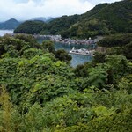 用户对于ラウンジフナヤ的评论图