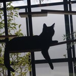 用户对于喫茶 ネコトマメ的评论图